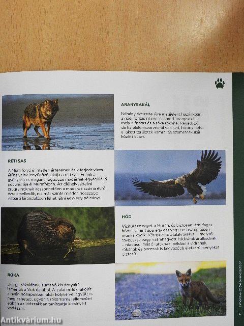 Aktívan Muraföldén és a Kis-Balatonnál