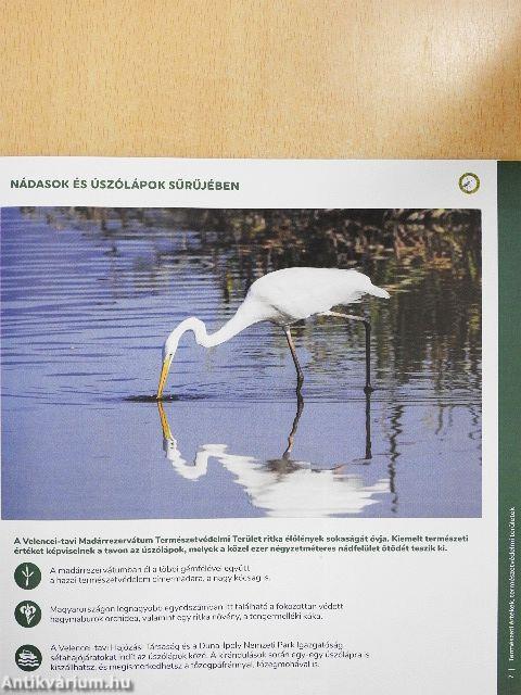 Aktívan a Velencei-tó körül és a Völgyvidéken