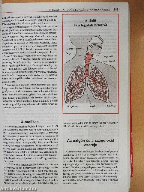 MSD Orvosi Kézikönyv a Családban