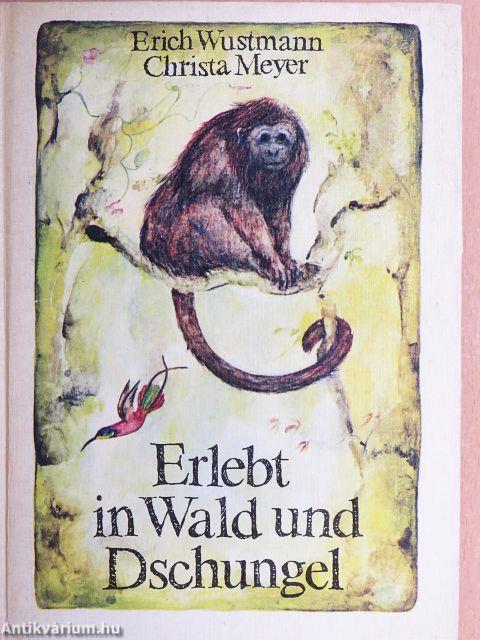 Erlebt in Wald und Dschungel