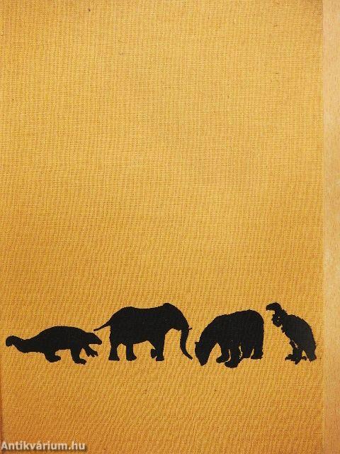 Állatvilág az Egyenlítőtől a sarkokig