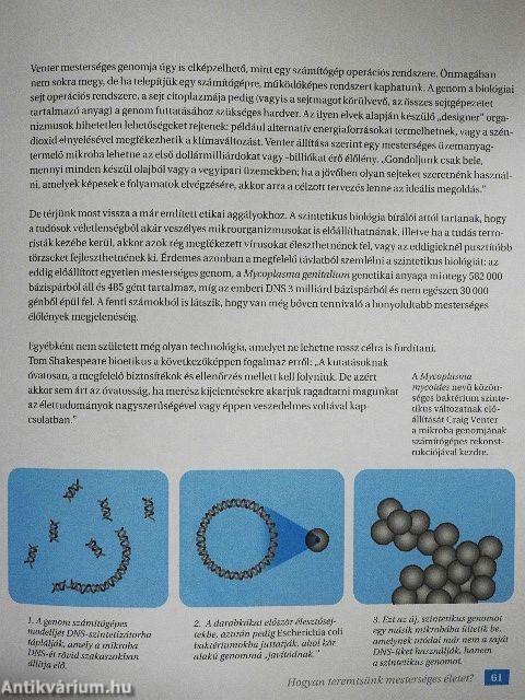 Hogyan éljünk örökké