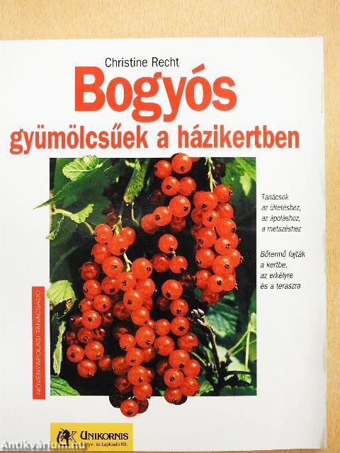 Bogyós gyümölcsűek a házikertben
