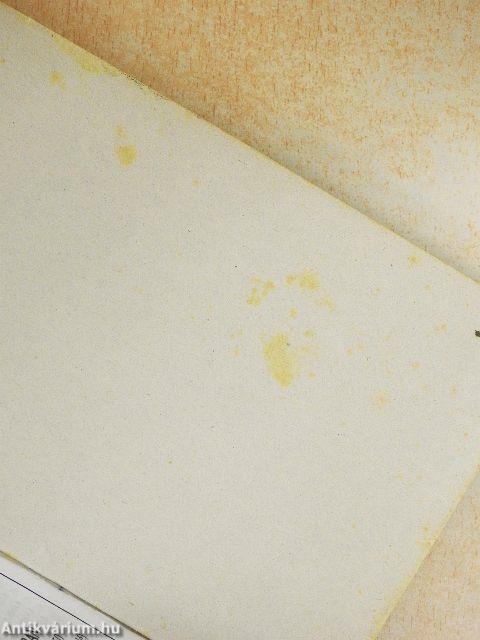 Wicca - A tündérek hagyatéka