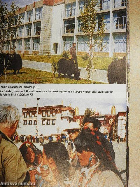 Tibeti reinkarnációk