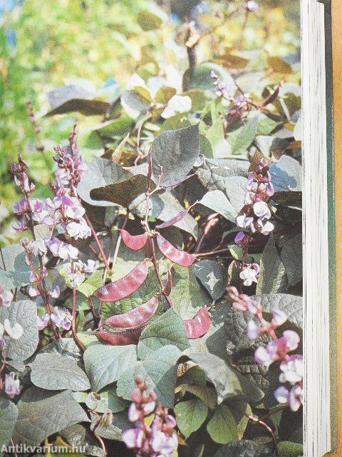 Házikerti kézikönyv