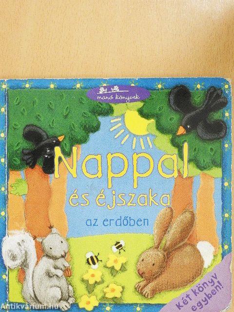 Nappal és éjszaka az erdőben/Éjszaka és nappal az erdőben