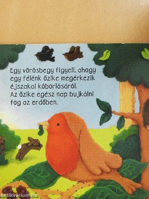 Nappal és éjszaka az erdőben/Éjszaka és nappal az erdőben