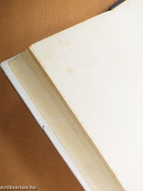 Dunkle Nächte in Venedig