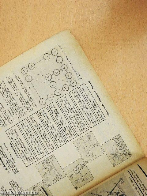 Magyar Cserkész 1937. január 15.