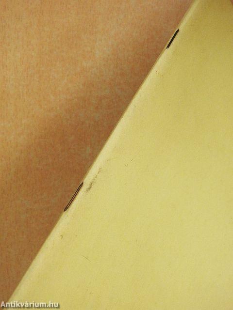 Integratív esztétikai nevelési kísérlet az általános iskola alapozó szakában és a tanítóképzésben