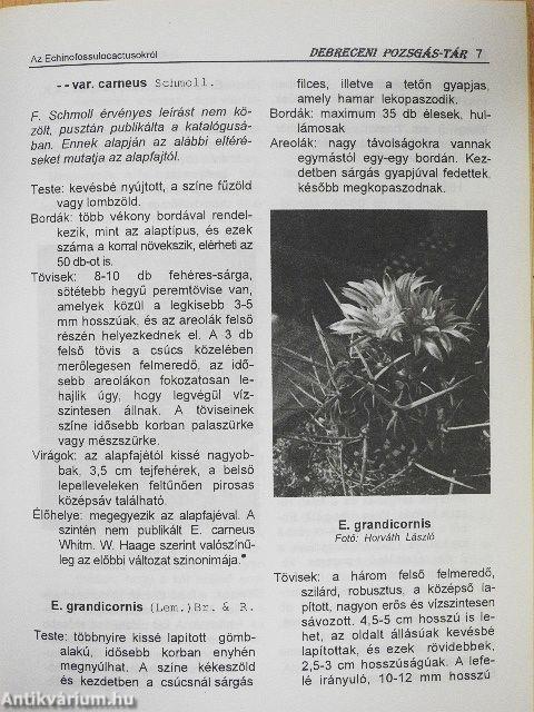 Debreceni pozsgás-tár 1999/1.