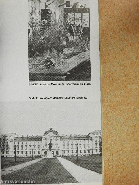 Gödöllő, a Rákos és a Galga mente