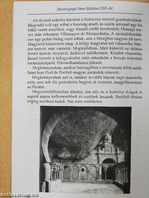 Obláció 2006. VI/2