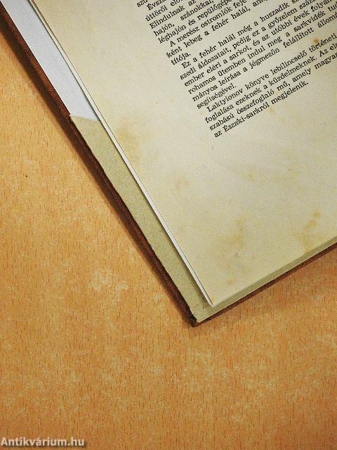 Az Északi-sark meghódítása