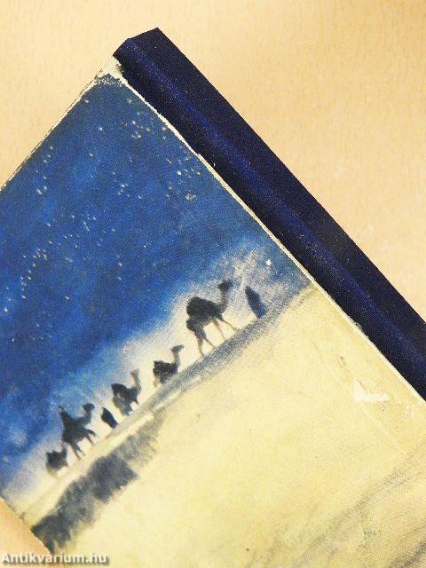 A félhold fakó fényében