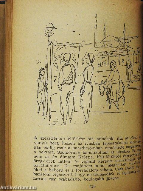 A félhold fakó fényében