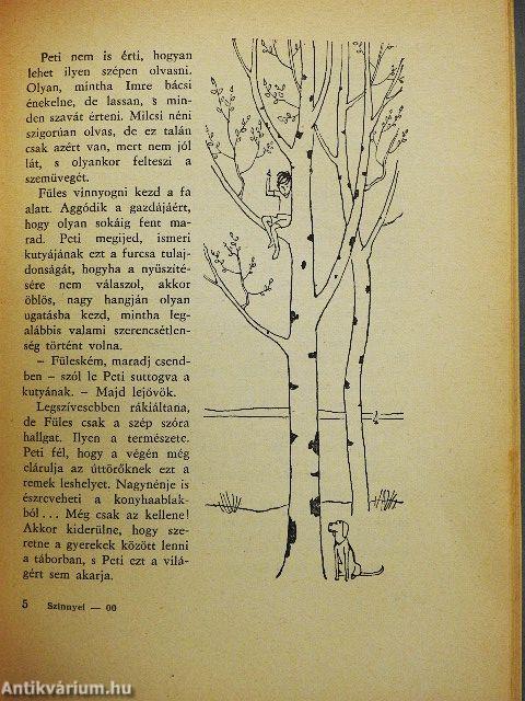 A kékfedelű füzet