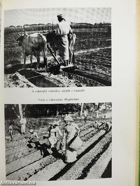 Tudományos tudósítóink jelentik