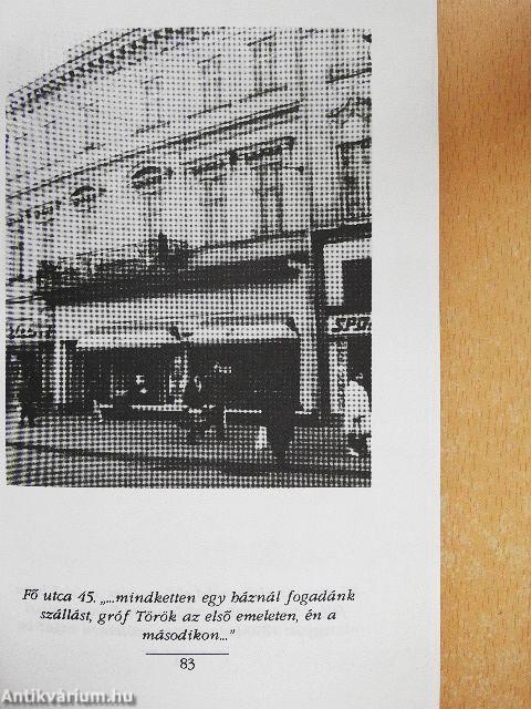 A város és az író