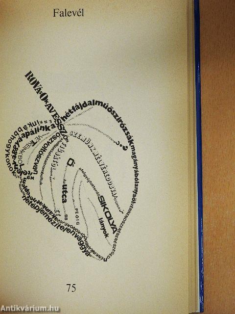 A varázsló sétálni indul