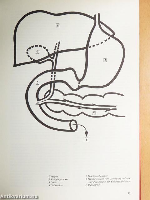 Gesund in die Zukunft