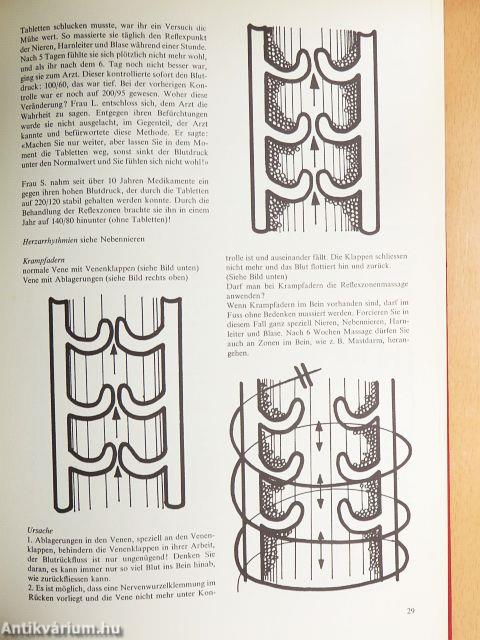 Gesund in die Zukunft