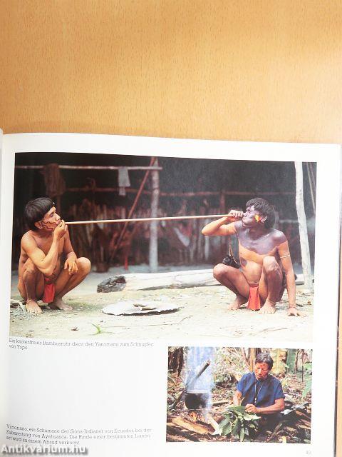 Museum der Begegnung