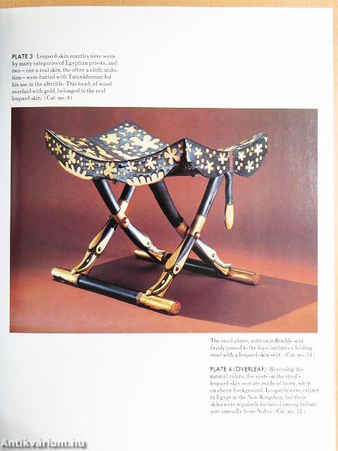 Treasures of Tutankhamun