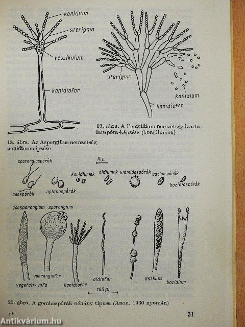 Mikrobiológiai vizsgálati módszerek az élelmiszeriparban 2.