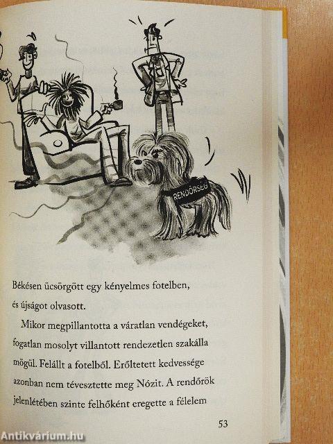 Az ékszerrablók nyomában