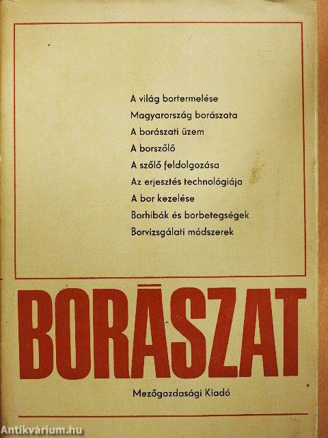 Borászat