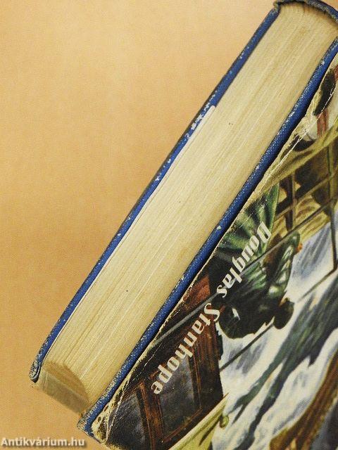 On Special Service for the Foreign Legion