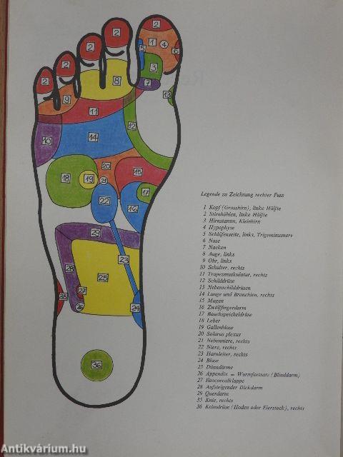 Gesund in die Zukunft