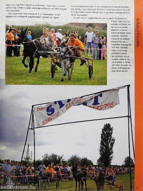 Vajdaság száz csodája