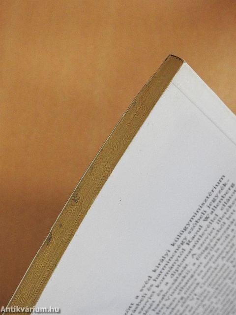 Ránk akarták kenni