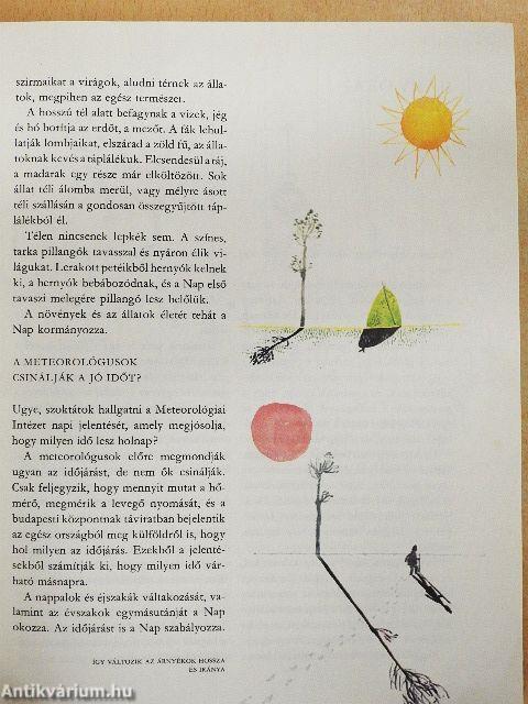 A világ és az ember