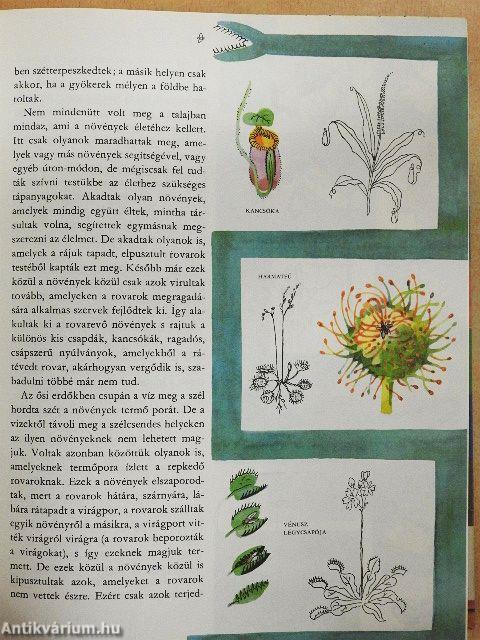 A világ és az ember