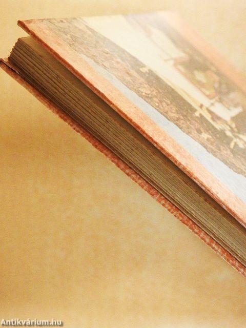 Nyaralj velünk az Altaj hegységben