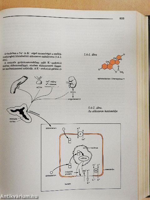 Humán farmakológia