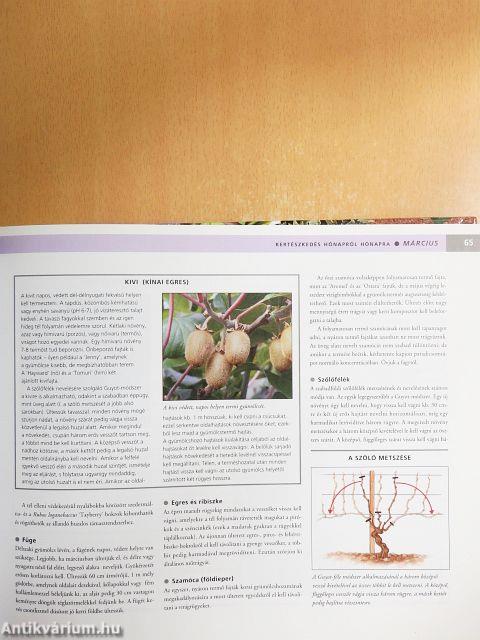 Kertészkedés hónapról hónapra