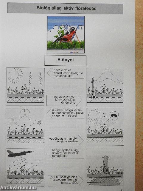 Flóratetők tervezési és kivitelezési szempontjai