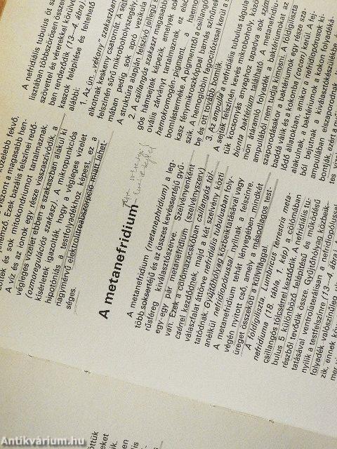 Összehasonlító szövettan