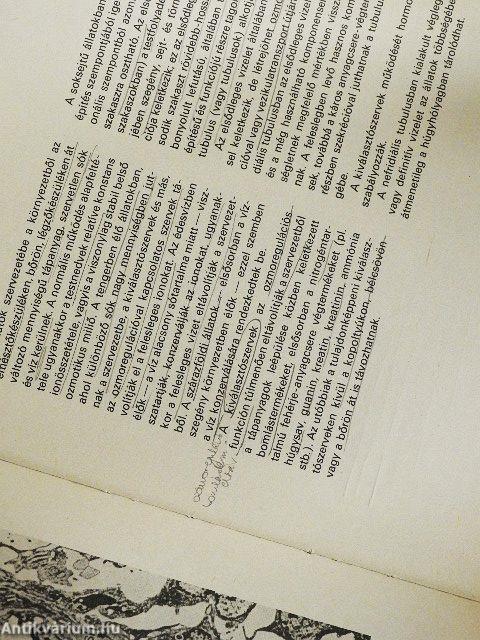 Összehasonlító szövettan