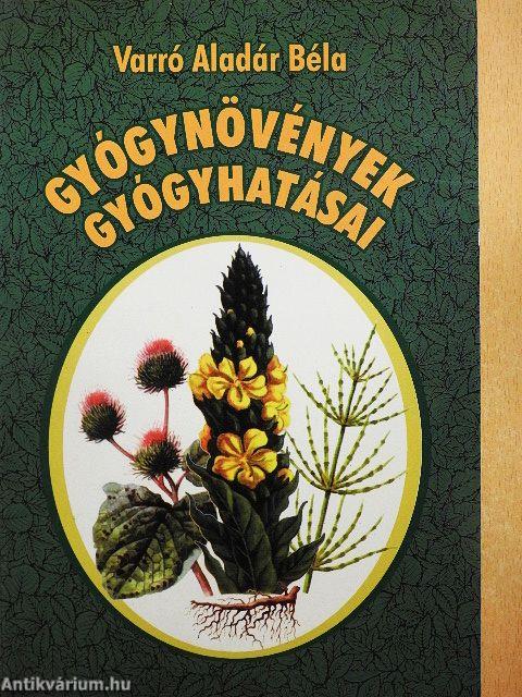 Gyógynövények gyógyhatásai