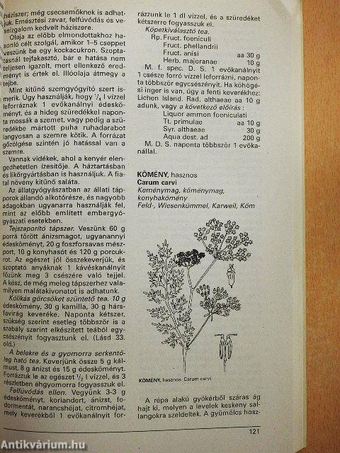 Gyógynövények gyógyhatásai