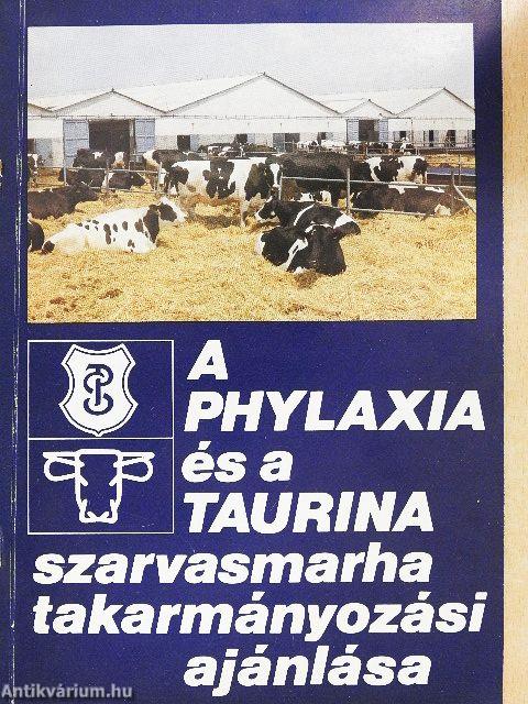 A Phylaxia és a Taurina szarvasmarha takarmányozási ajánlása