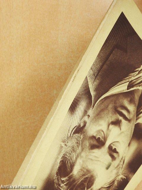 Segítsd a királyt!