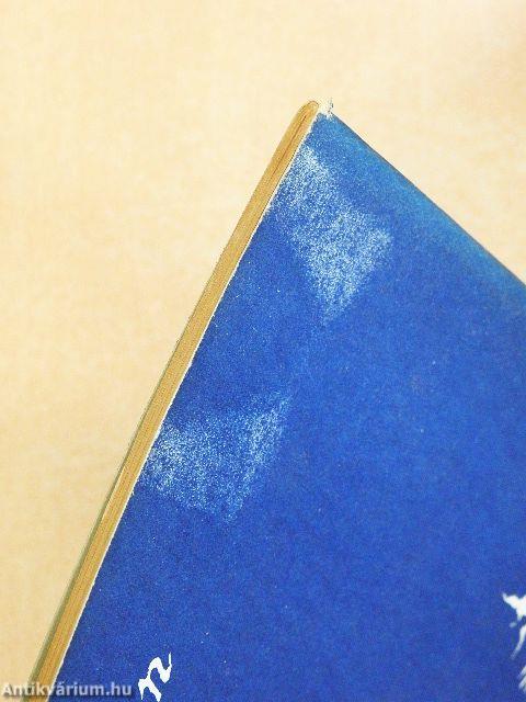 /határ/idő/napló/ '88/3-'89/1