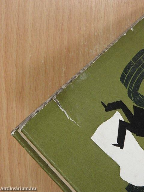 Das Gespenst von Black Rose Castle